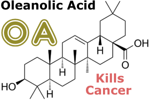 Oleanolic Acid Kills Cancer