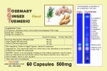 Buy Rosemary Ginger blend 500mg gel or veggie caps